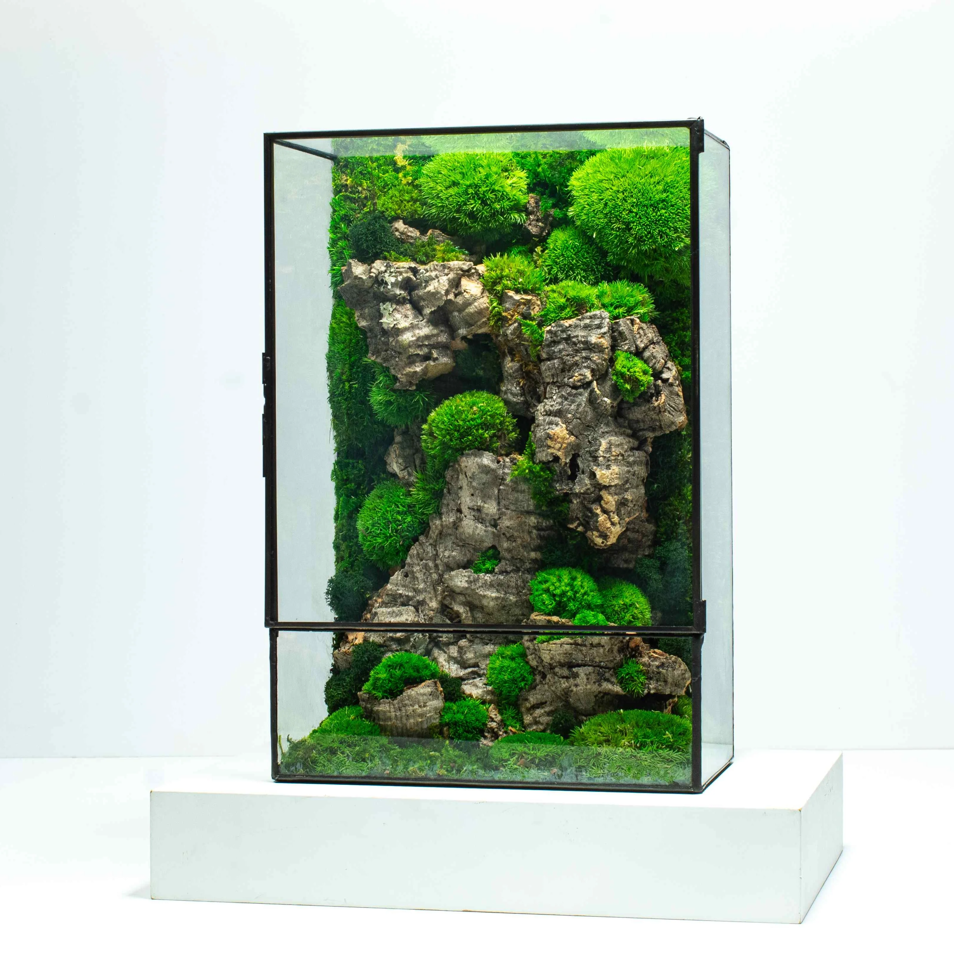 Moss Art